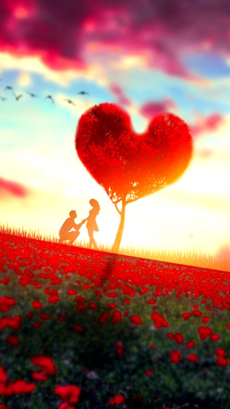 Beautifull Wallpaper 😍❤❤❤