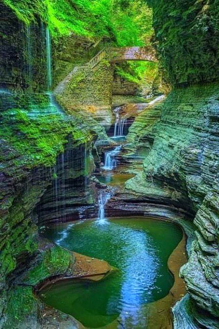 Beautiful Nature image
