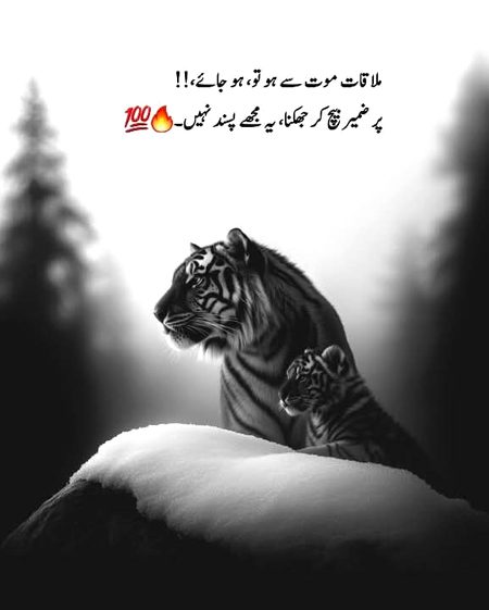 Attitude Poetry image