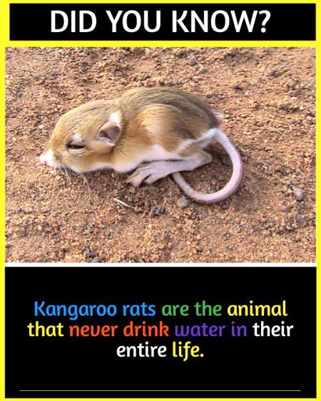 Interesting Posts image