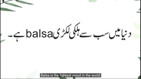 Interesting Posts image