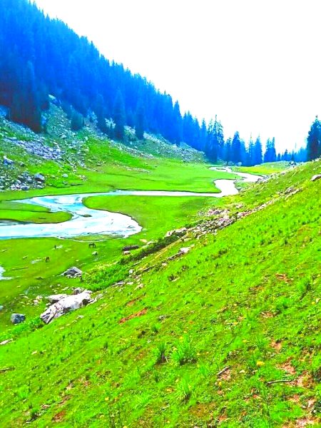 Beautiful Nature image