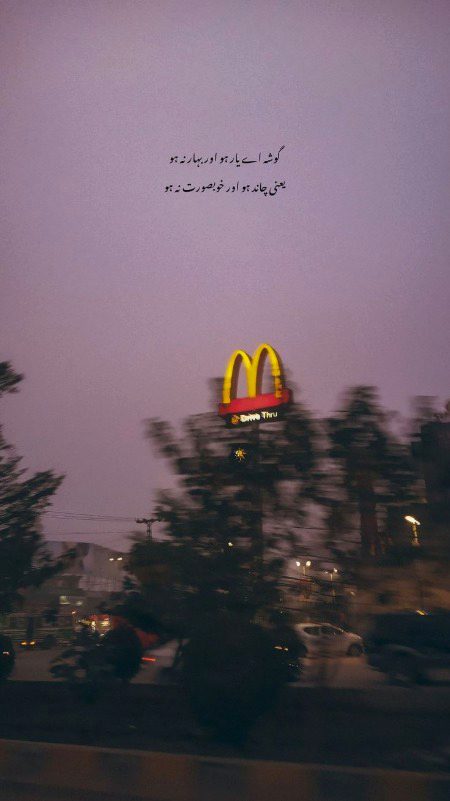 مجھے تلاش کریں گے نئی رتوں میں لوگ ٠٠٠٠میں گہری دھند میں لپٹا ہوا جزیرہ ہوں