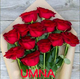 (***)Gulaab k phoolu sy aati hai un k pyaar ki khushboo jin ka sukoon mein hon(***)