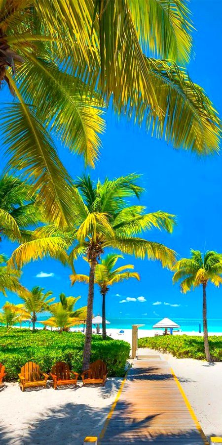 Beautiful Nature image