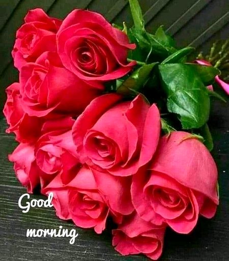 Beautiful Nature image