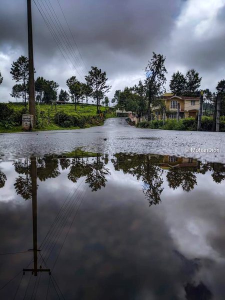 Beautiful Nature image