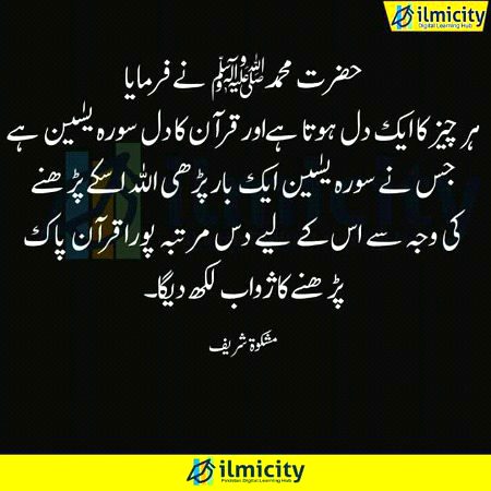 Islamic Quotes image