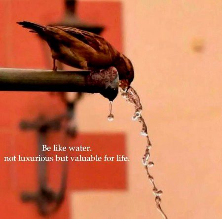 Motivational Quotes image