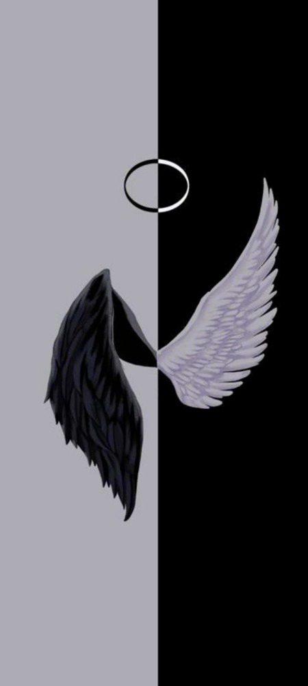 ہم  محـــــبت  میں  خوش  رنگ  پرندوں  کی  مثال
 ہم  پہ  واجـــب  نہیں ___ شاخوں  سے  کنارہ   کرنا