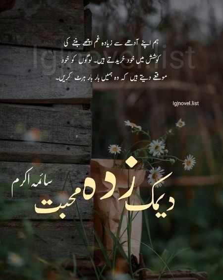 Romantic Novels image