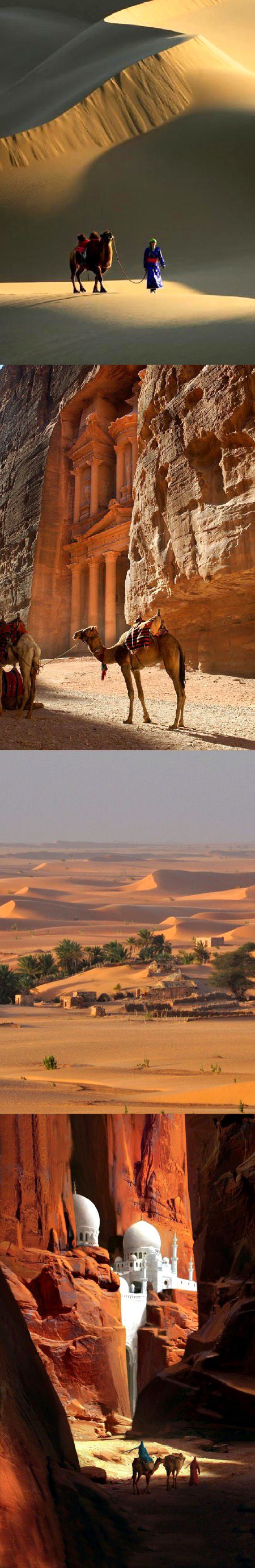 History of the Oasis.n5