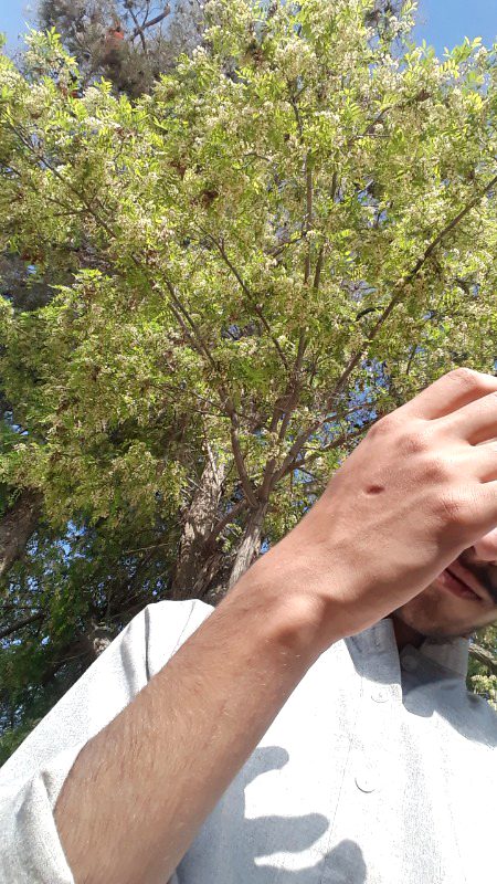 Beautiful Nature image