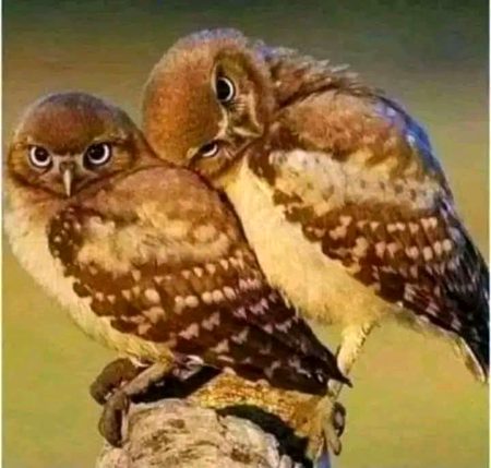 Beautiful Nature image