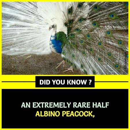 Interesting Posts image