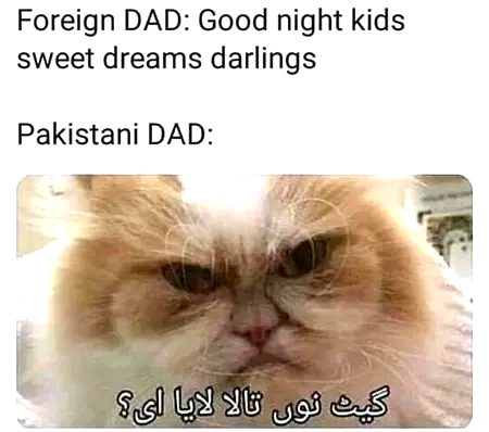 Memes & Satire image