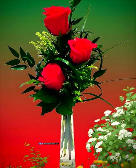 Beautiful Nature image
