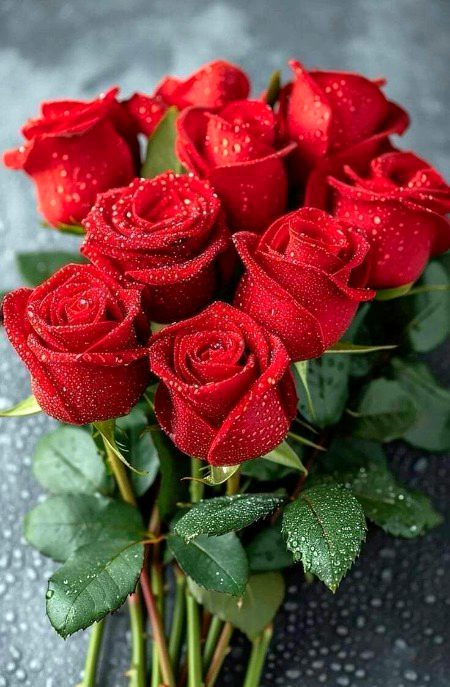 Beautiful Nature image