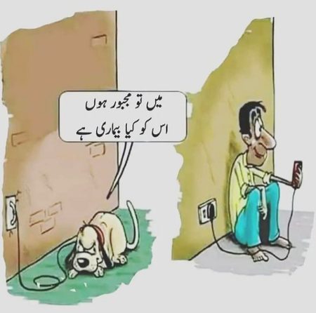 Memes & Satire image