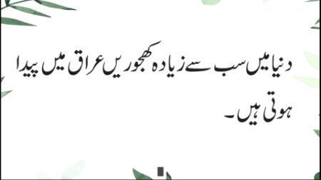 Interesting Posts image