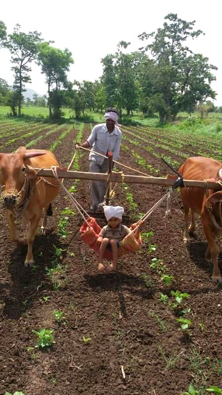 Memes & Satire image