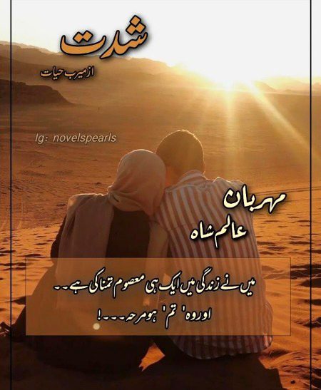 Romantic Novels image