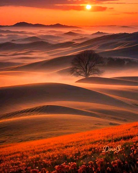 Beautiful Nature image