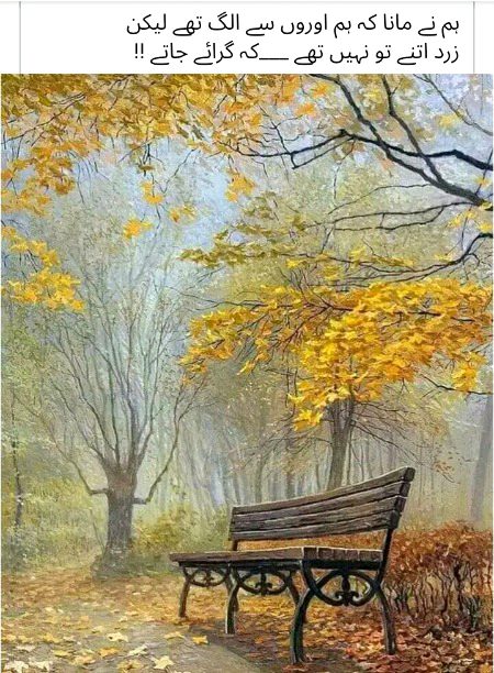 Attitude Poetry image