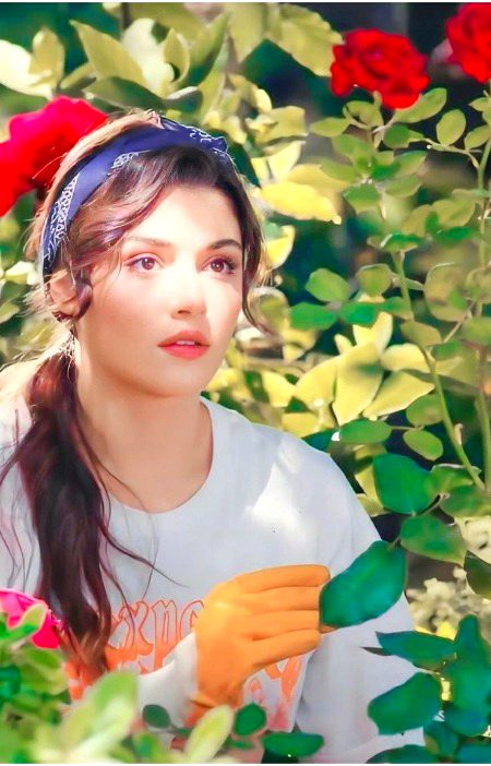 Turkish Celebs image