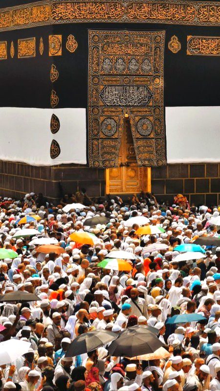 Beautiful Structures image