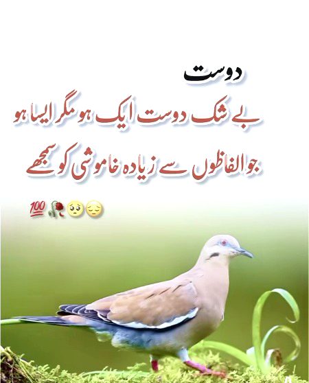 Right 👍