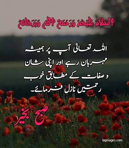Islamic Quotes image