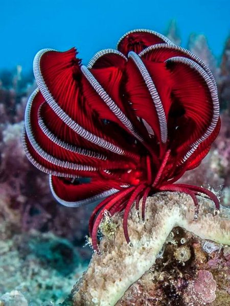 Beautiful Nature image