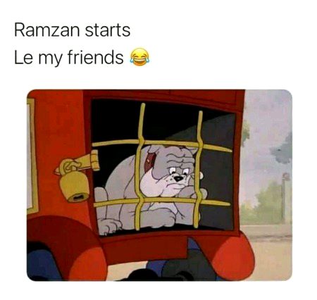 Memes & Satire image