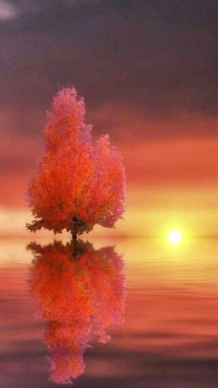 Beautiful Nature image