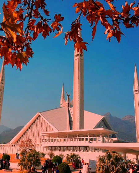 Beautiful Structures image