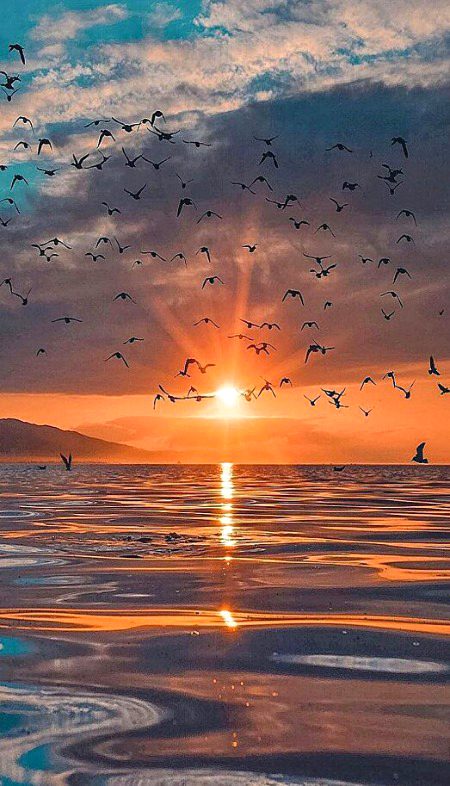 Beautiful Nature image