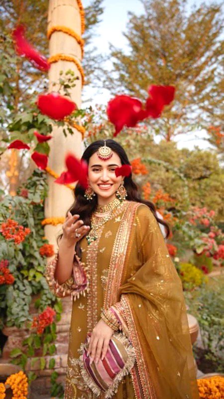 Pakistani Celebs image