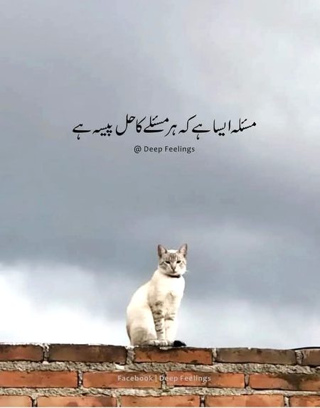 Life Advice image