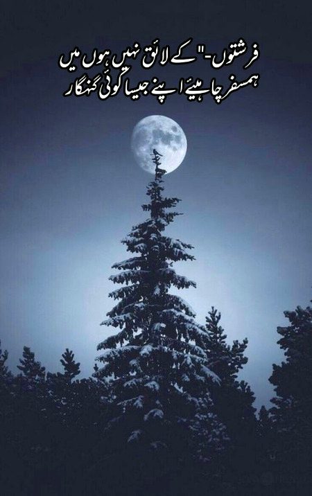 Attitude Poetry image