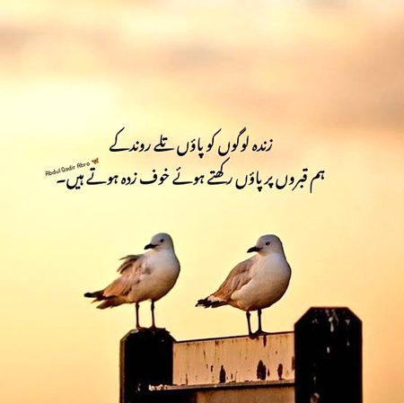 Life Advice image