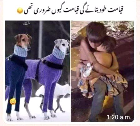 Memes & Satire image