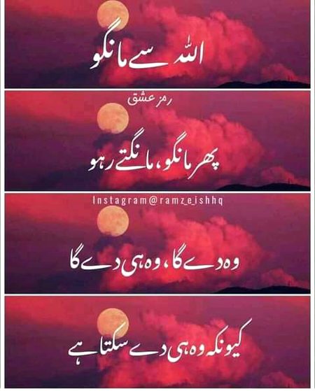 Islamic Quotes image