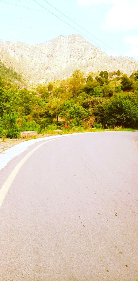 Beautiful Nature image