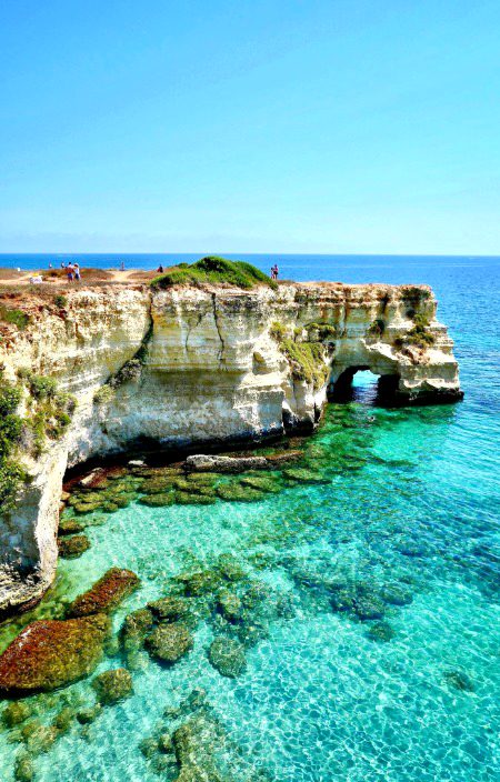 Beautiful Nature image