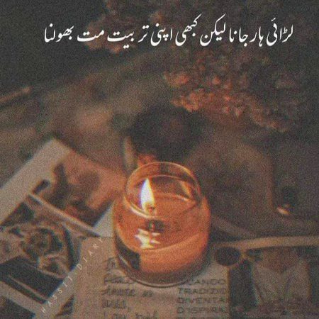 Tarbiat
