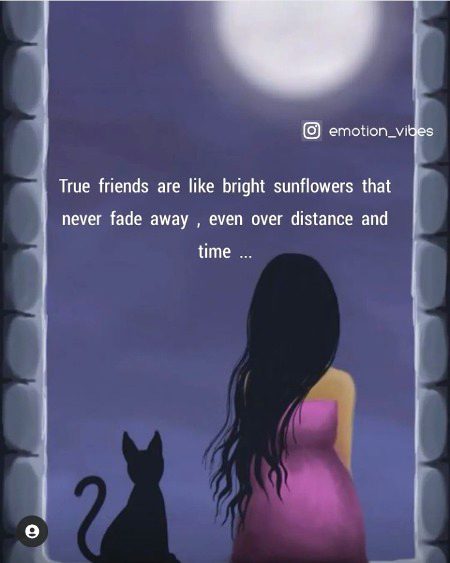 Life Advice image