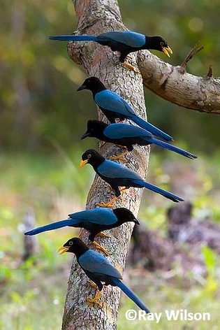 Beautiful Nature image