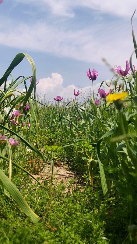 "_جسے حاصل نہ کر سکو اُسے 
بدنام بھی نا کرو🥀🖤
🖤