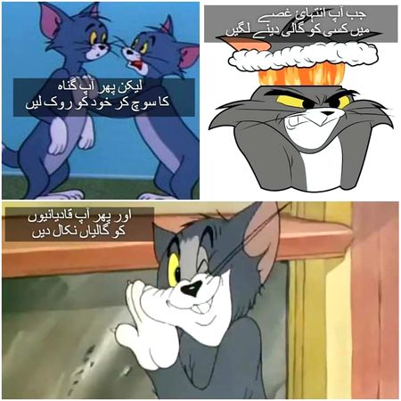 Chalo sub mil kr merzaiyan di---